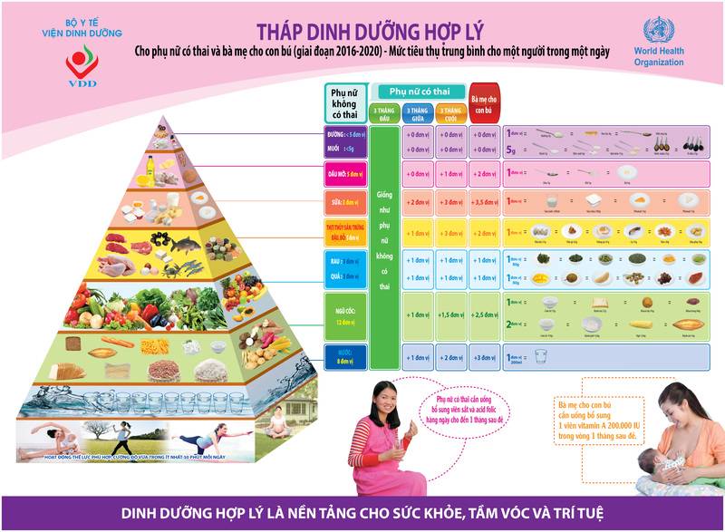 Chế độ dinh dưỡng cho bà bầu để con khỏe mạnh 2 Chế độ dinh dưỡng cho bà bầu theo từng tháng