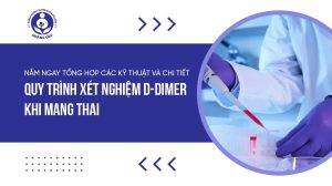 Quy trình xét nghiệm D-dimer khi mang thai